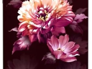 IFB 197 L 5 Star Direct-Cool Single Door Refrigerator (Advanced Inverter Compressor