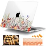 Apple 2025 MacBook Air (13-inch