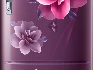 Samsung 183 L 4 Star Digital Inverter Direct-Cool Single Door Refrigerator (Red)