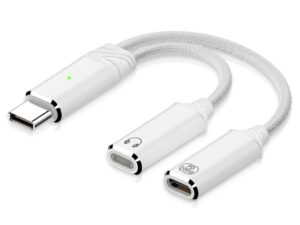 Apple EarPods (USB-C)